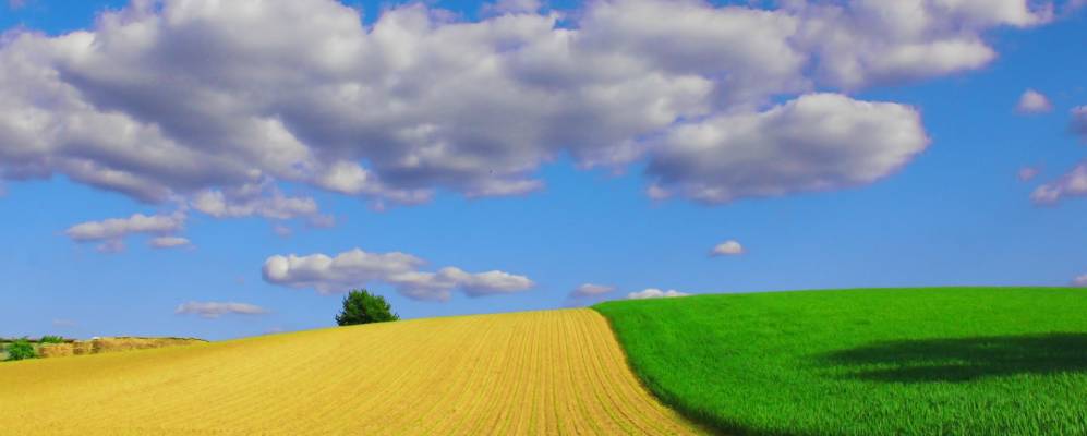 
            Фотография Ангельбахталя