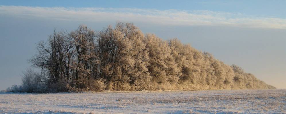 
            Фотография Александровки Второй