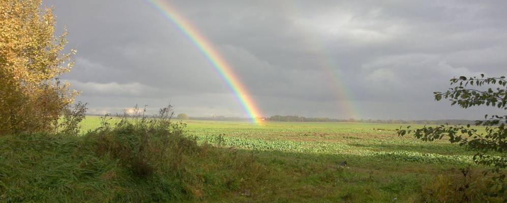 
            Фотография Перелесок