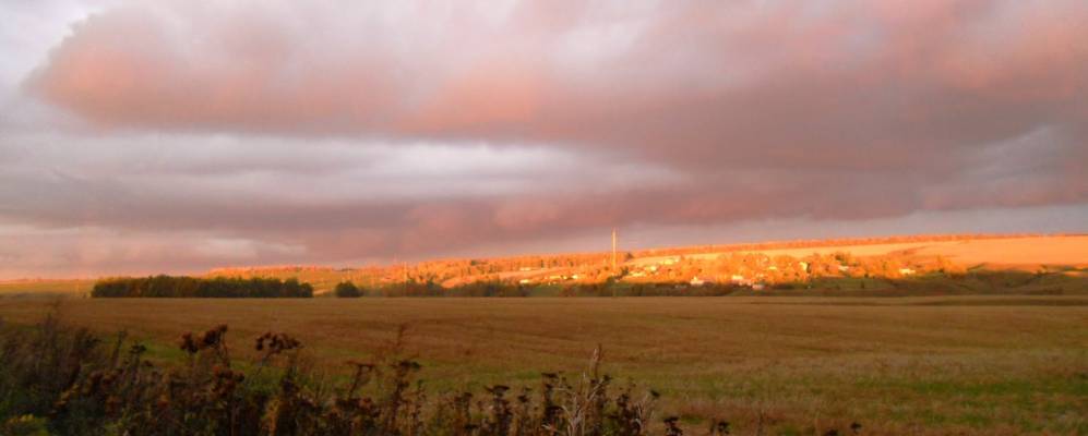 Фотография Мемешей