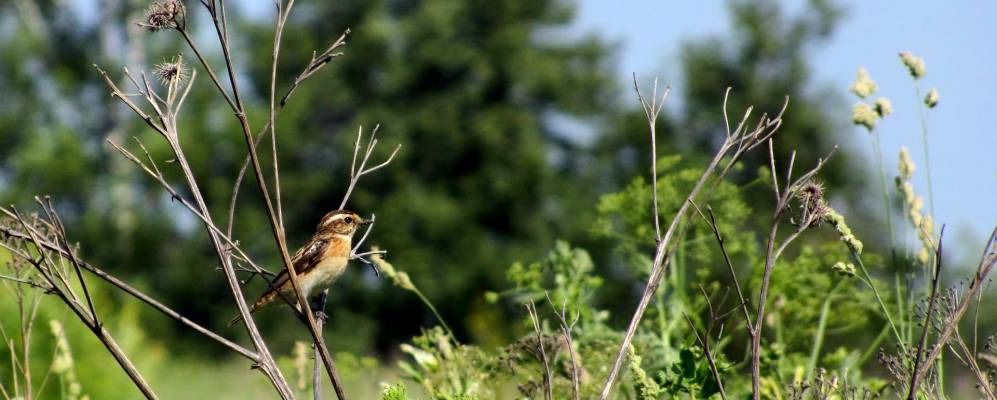 
            Фотография Котцино