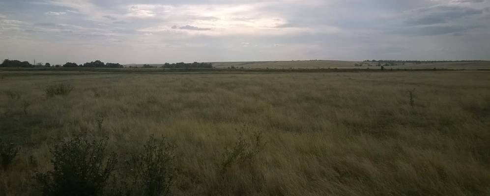 
            Фотография Полякова