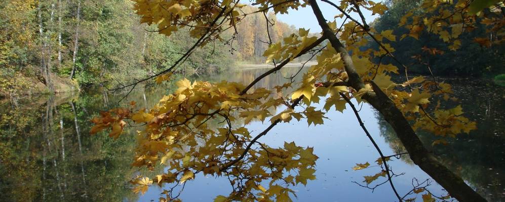 
            Фотография Демидовки