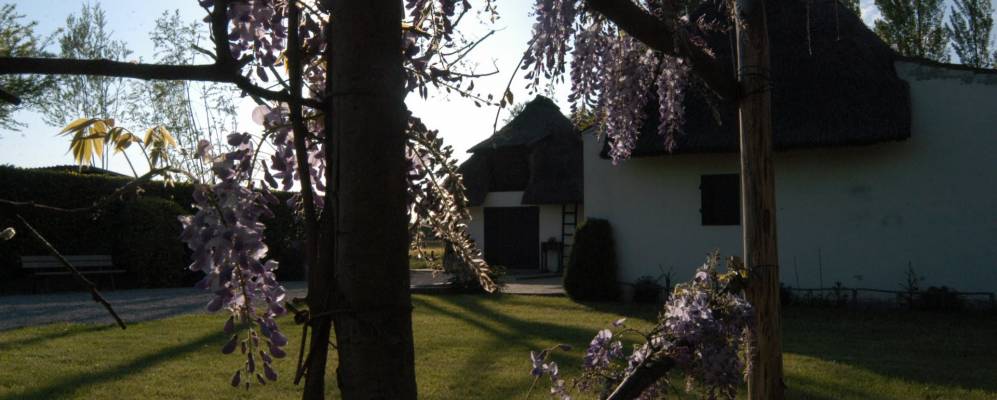 
            Фотография Камполонго-Маджоре