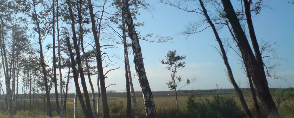 
            Фотография Нового Аннино