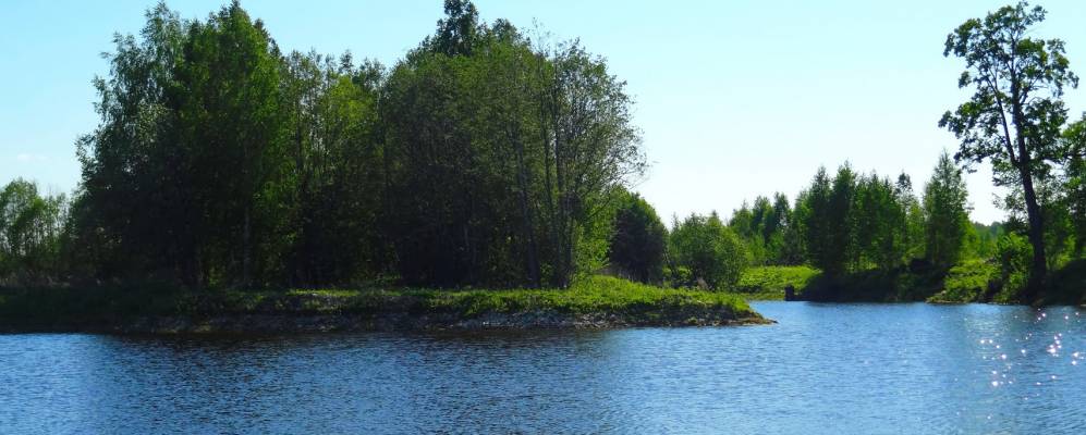 
            Фотография Кургановского