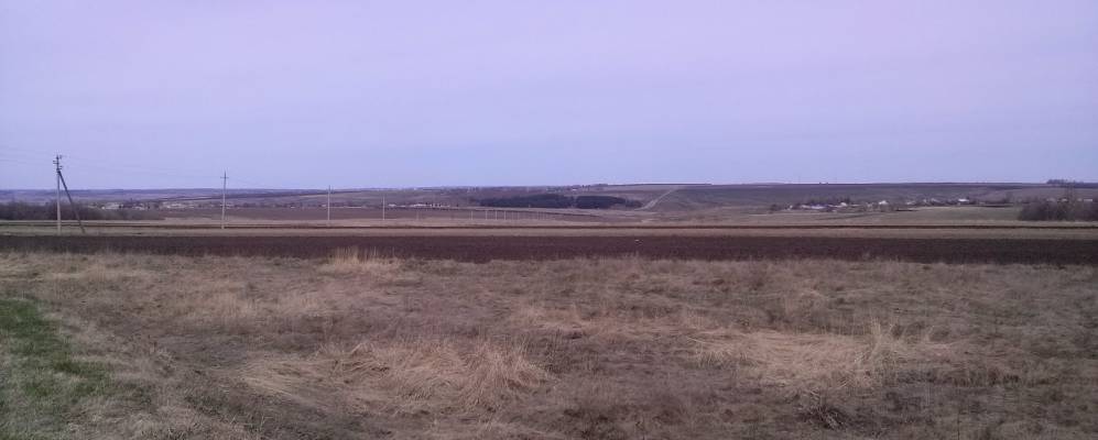 
            Фотография Хорнзора