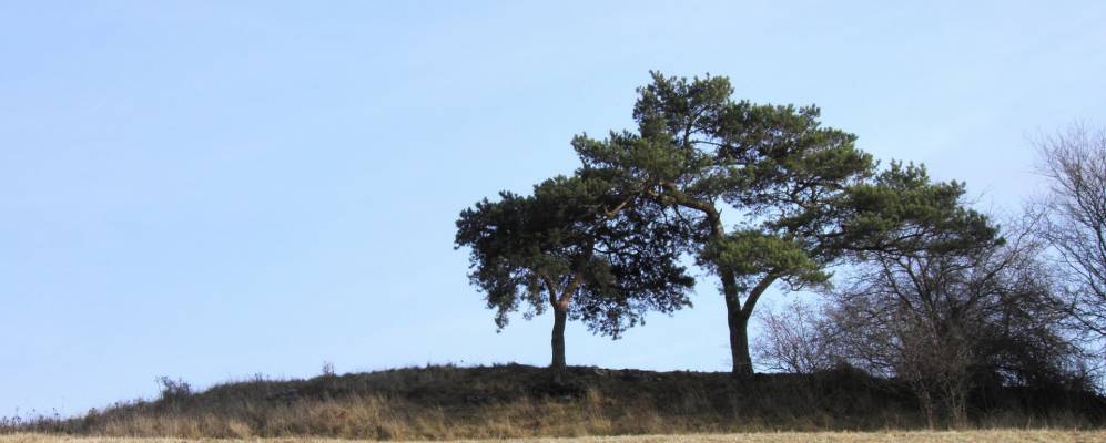 
            Фотография Старэ Техановицы