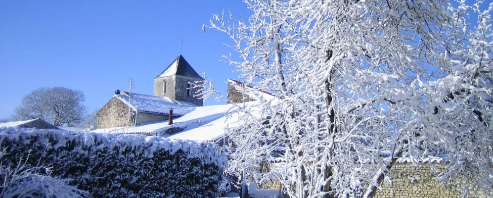 
            Фотография Монтиль