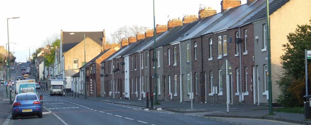 
            Фотография Коксхо