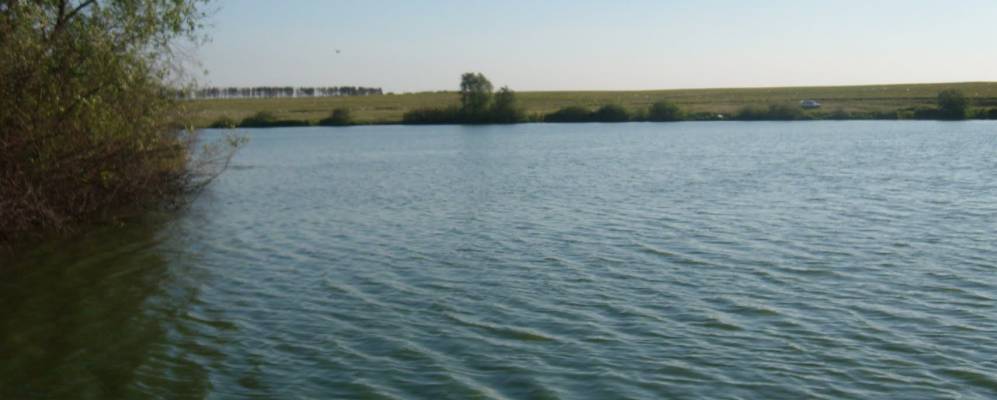 
            Фотография Стрелы