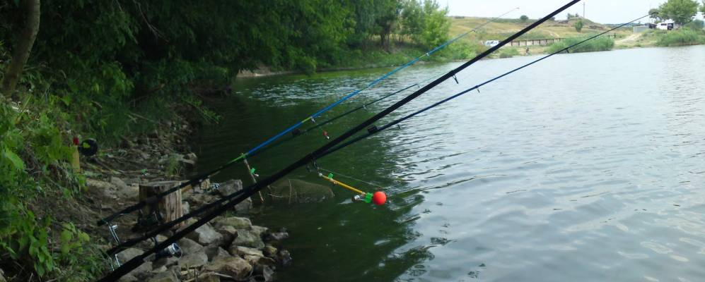 
            Фотография Владимировки