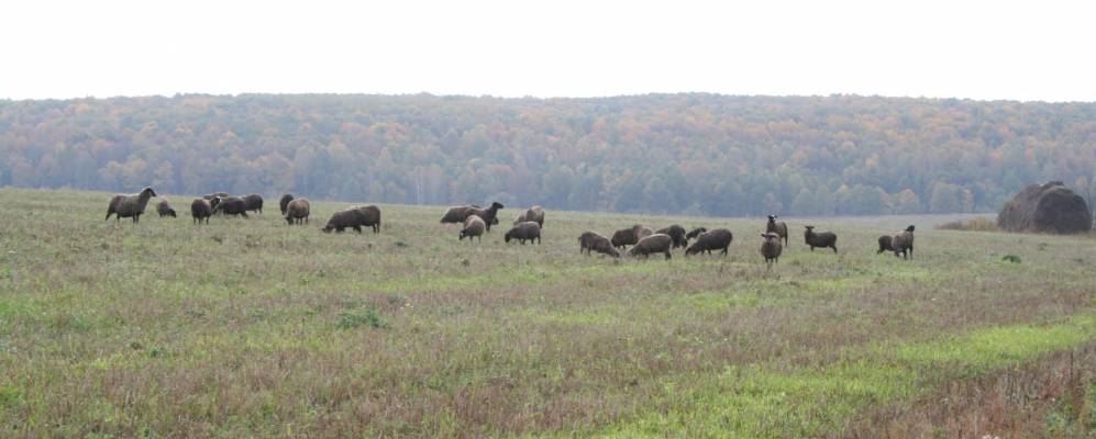 Фотография Нового Ивашково