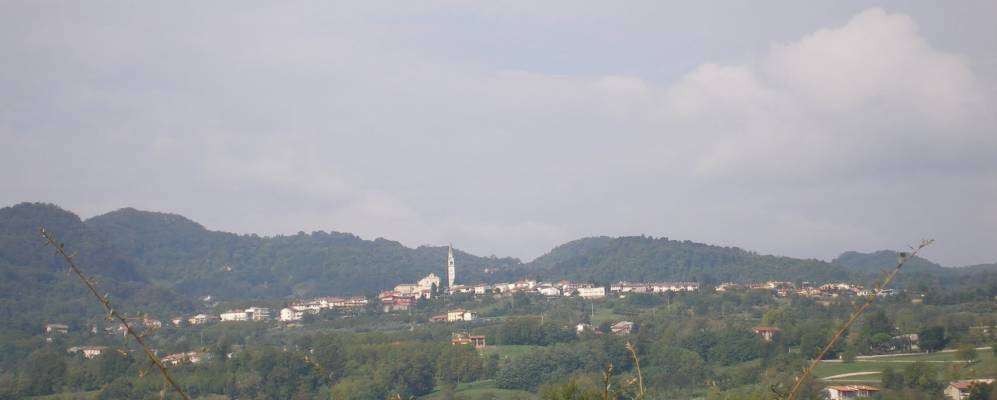 
            Фотография Мало