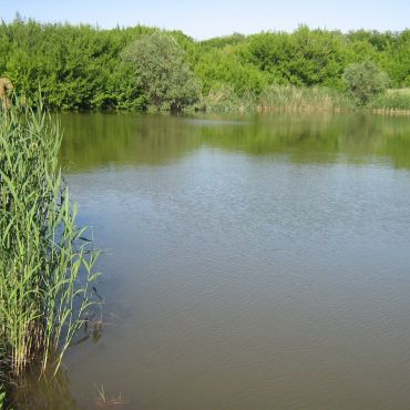 Белый Колодезь