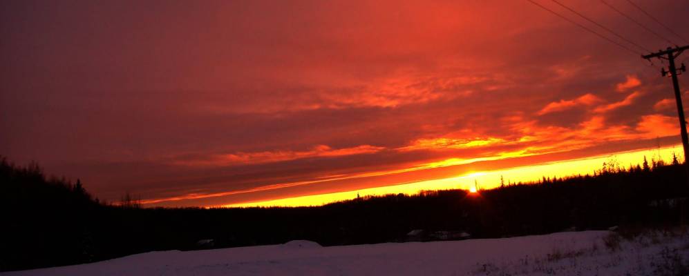 
            Фотография Танэйны