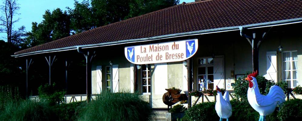 
            Фотография Роменэ