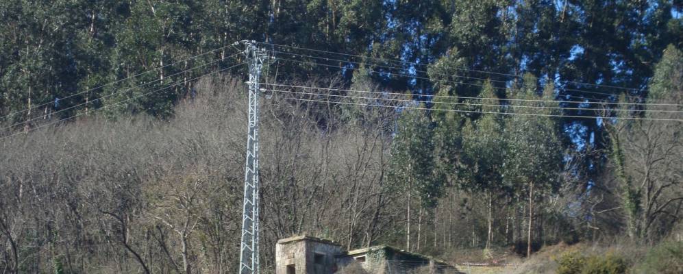 Фотография Картеса