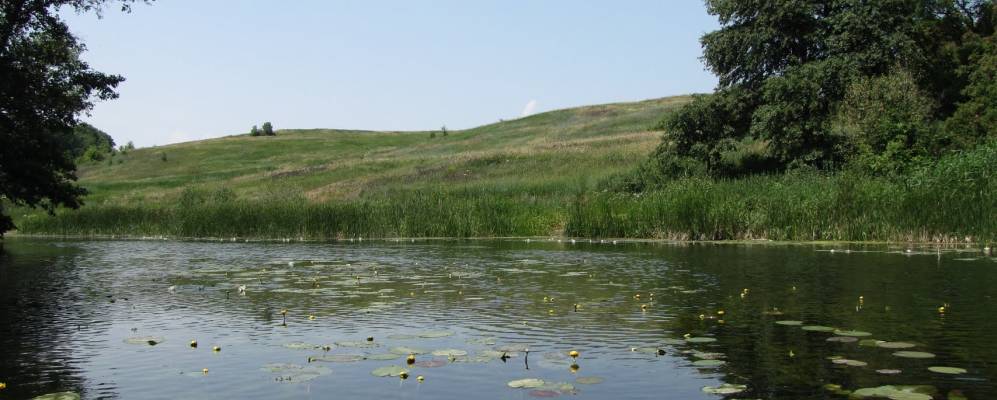 
            Фотография Михайловки Первой