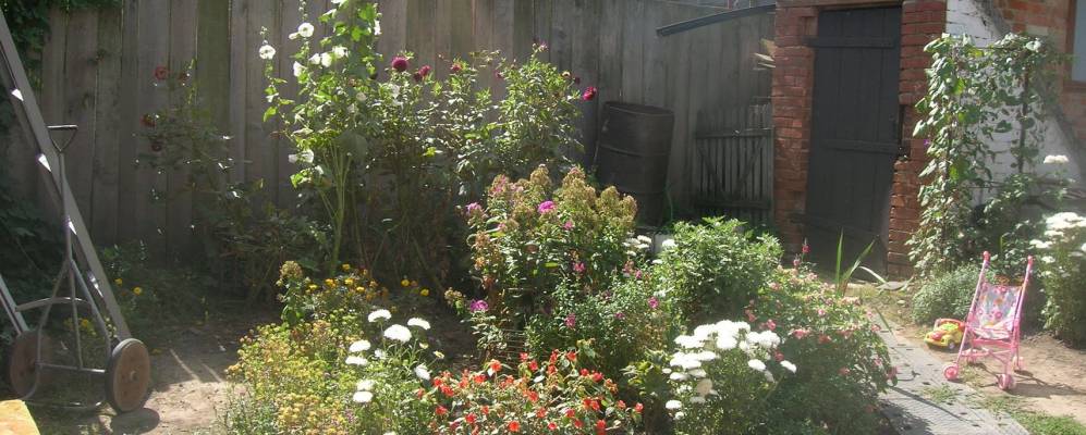 
            Фотография Бездрика