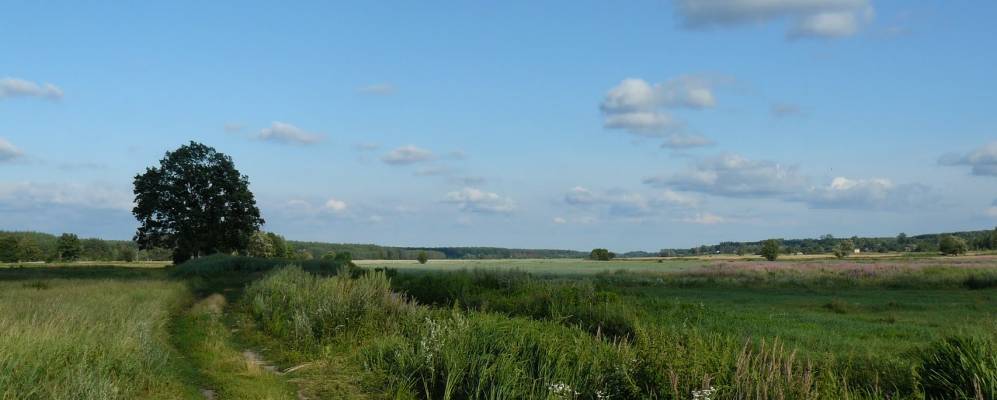 
            Фотография Жеревполья