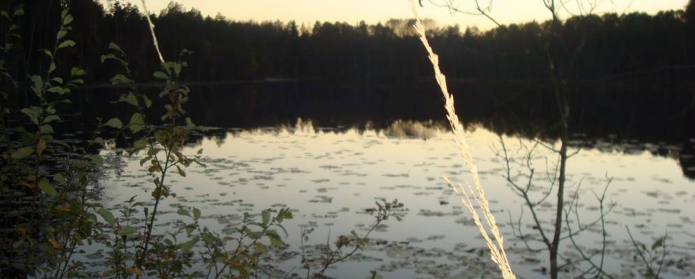 
            Фотография Жарковo