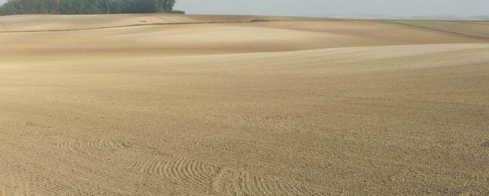 Фотография Пуа