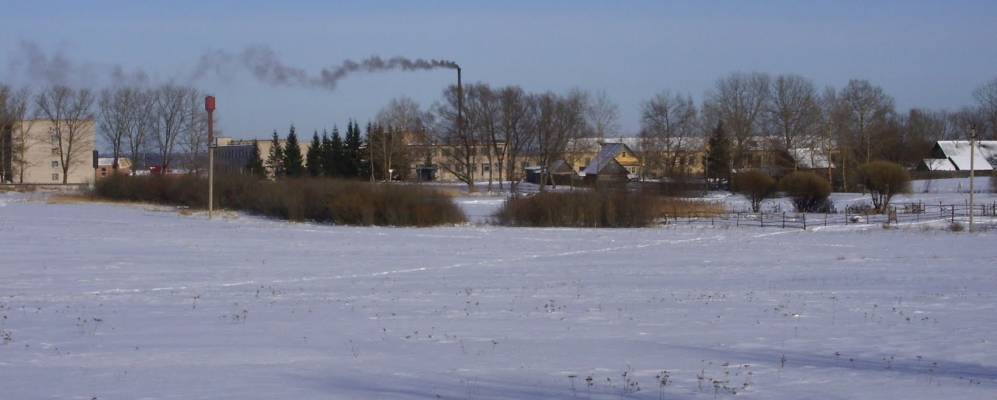 Фотография Золотково