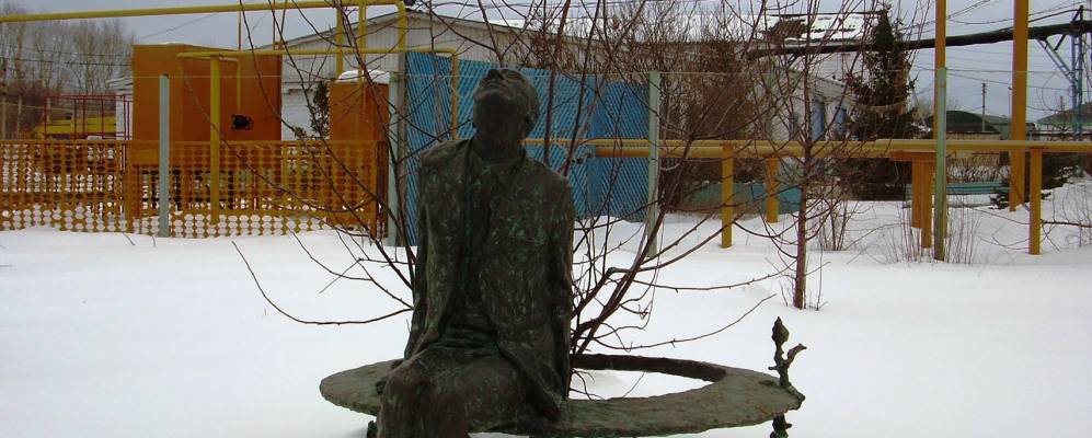 
            Фотография Новоселок