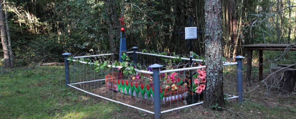 
            Фотография Руднихино