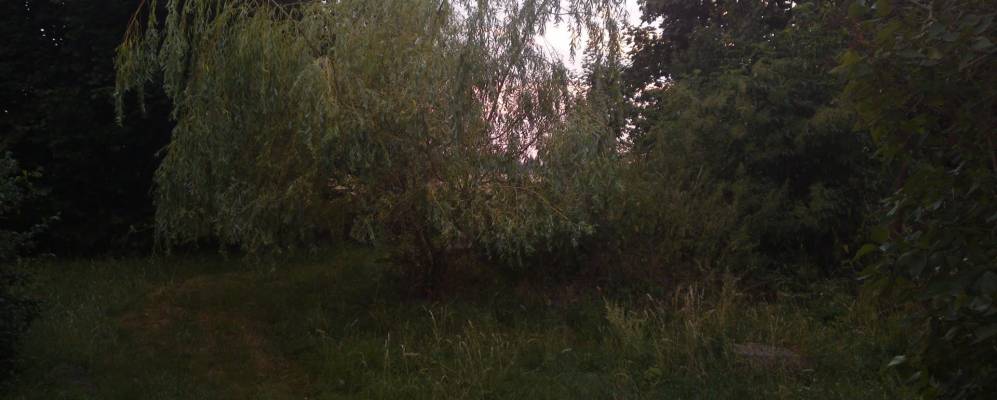 
            Фотография Зонневальде