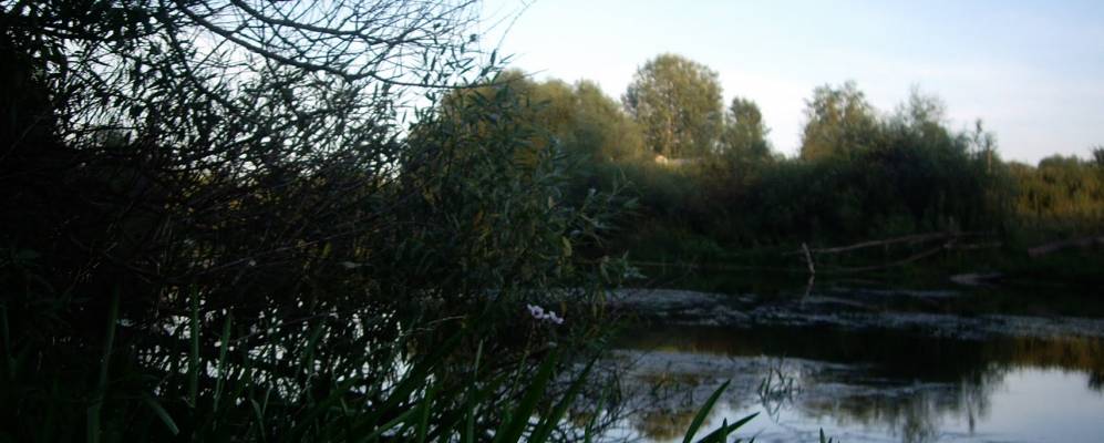 
            Фотография Ядровки