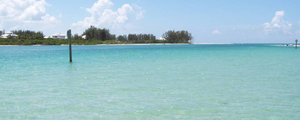 
            Фотография Гроув Сити