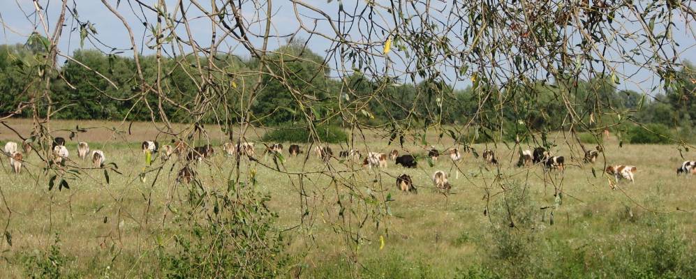 
            Фотография Кузубовки