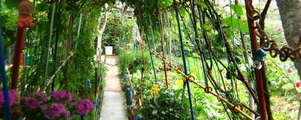 Фотография Новашино