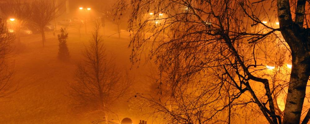 
            Фотография Варедо