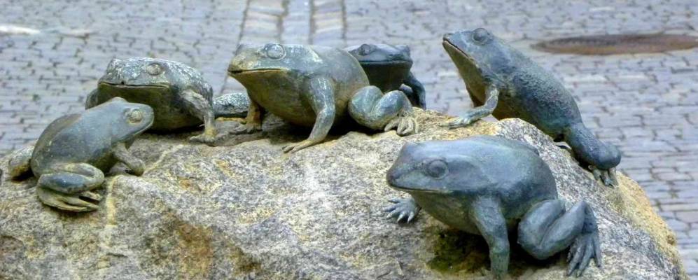 
            Фотография Брук в Верхнем Пфальце