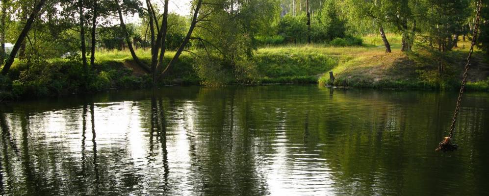 
            Фотография Шонихи