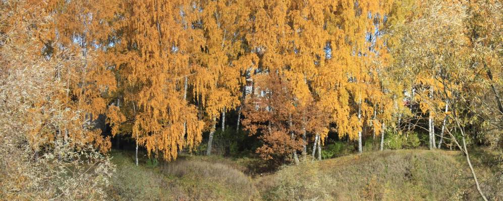 
            Фотография Размазлея