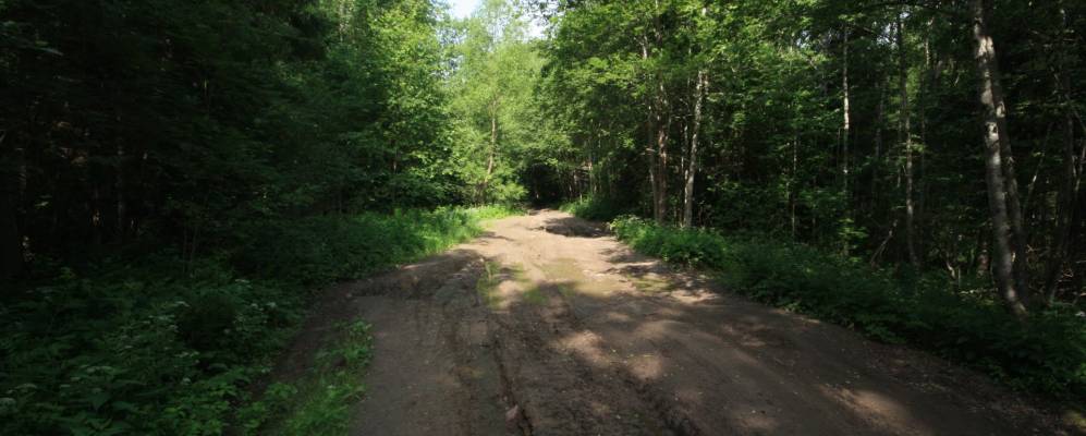 
            Фотография Поречья