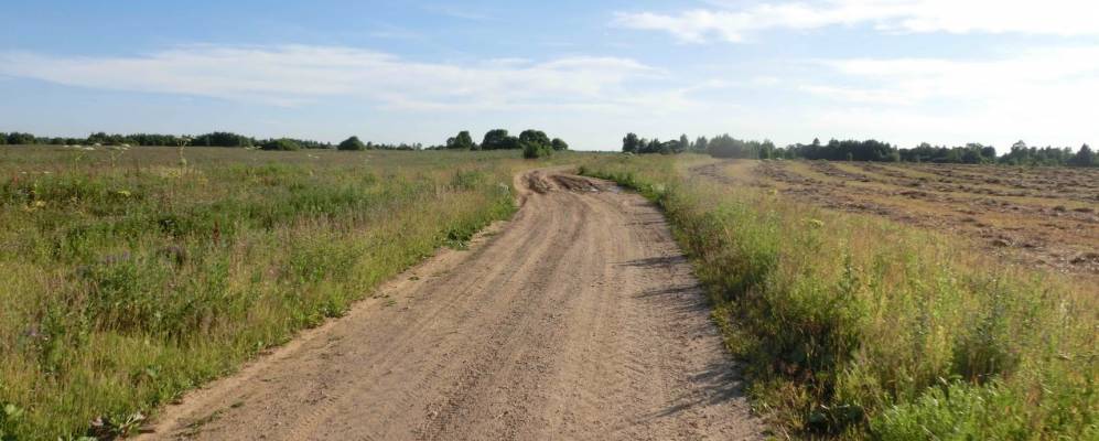 Пустырь ик. Цветущий пустырь на окраине. Деревня пустыри. Деревня тугаево гафурийский район. Пустырь.