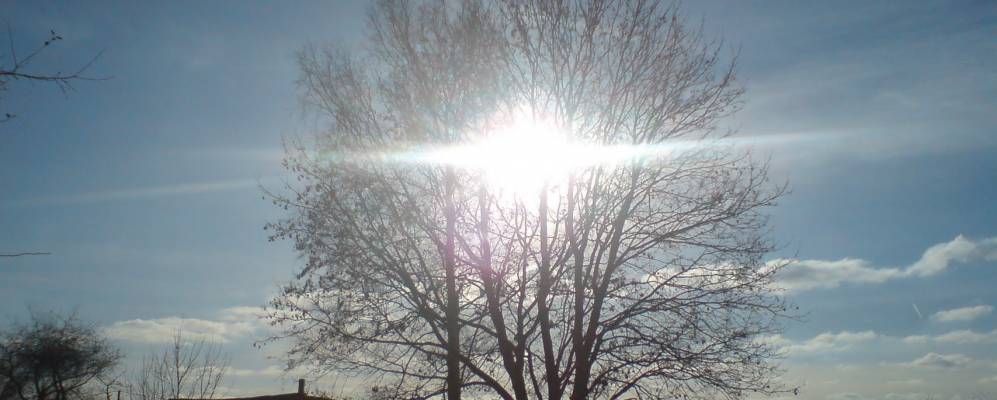 Фотография деревни Жаки