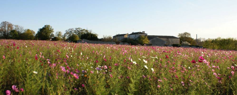 
            Фотография Mérignac