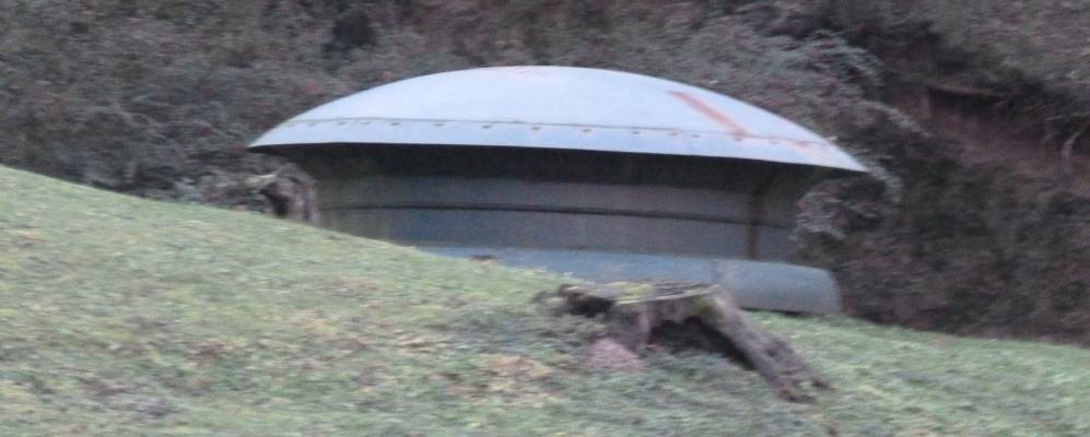 
            Фотография Фейньи