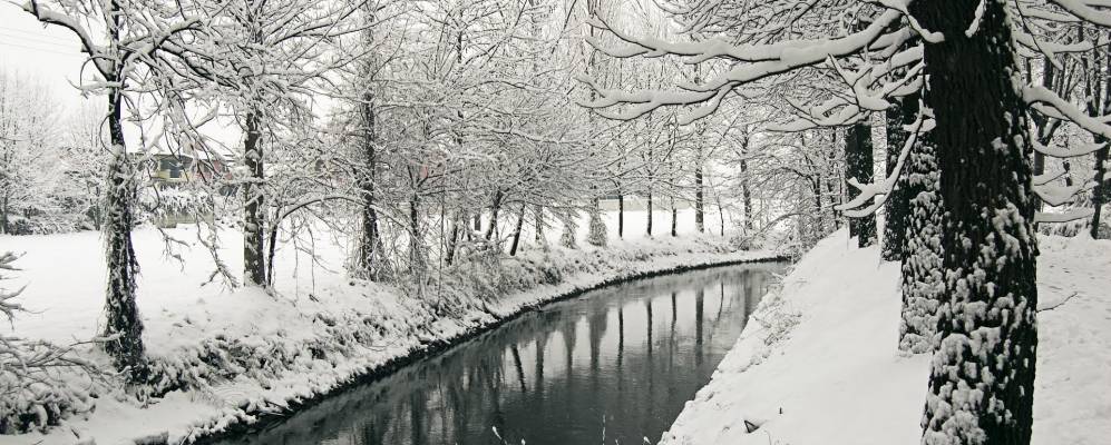 
            Фотография Сордьо