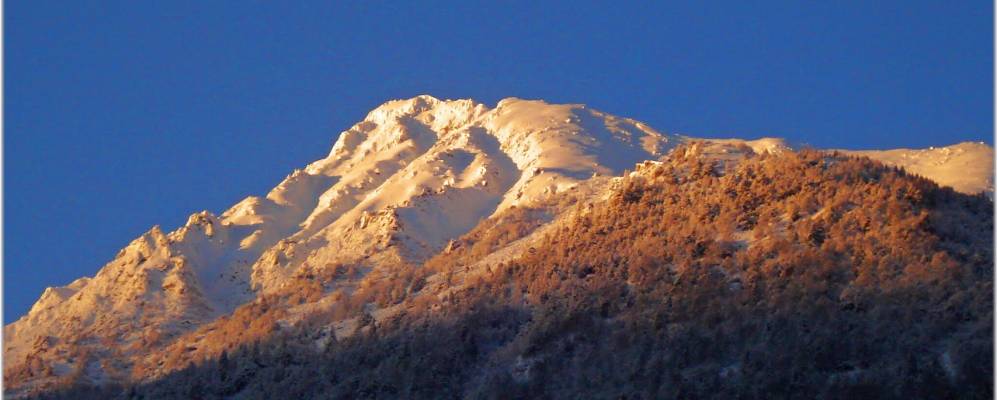 
            Фотография Морбеньо