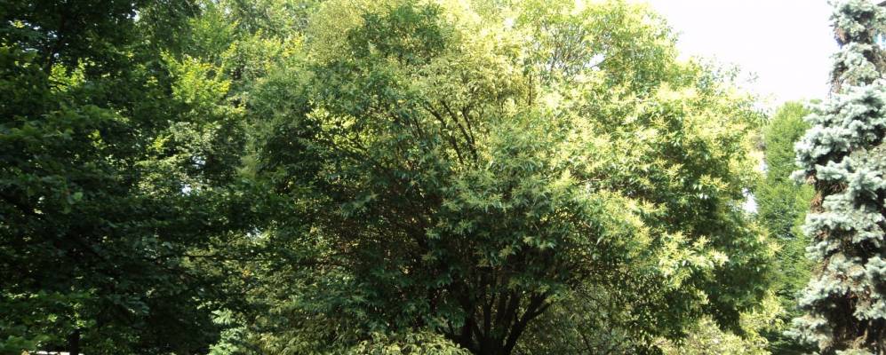 
            Фотография Орио-аль-Серио