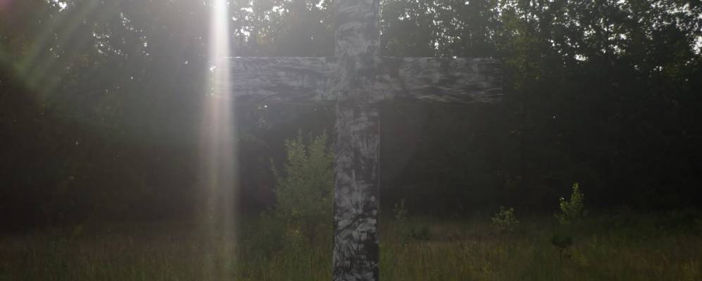 Фотография Тяпкино