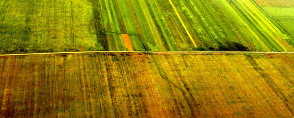 
            Фотография Гэешти