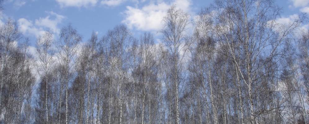 
            Фотография Эстонки